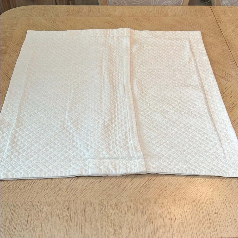 Restoration Hardware Euro Pillow Shams (3)